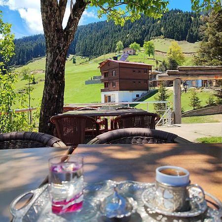 Glisura Apart Uzungol Bagian luar foto