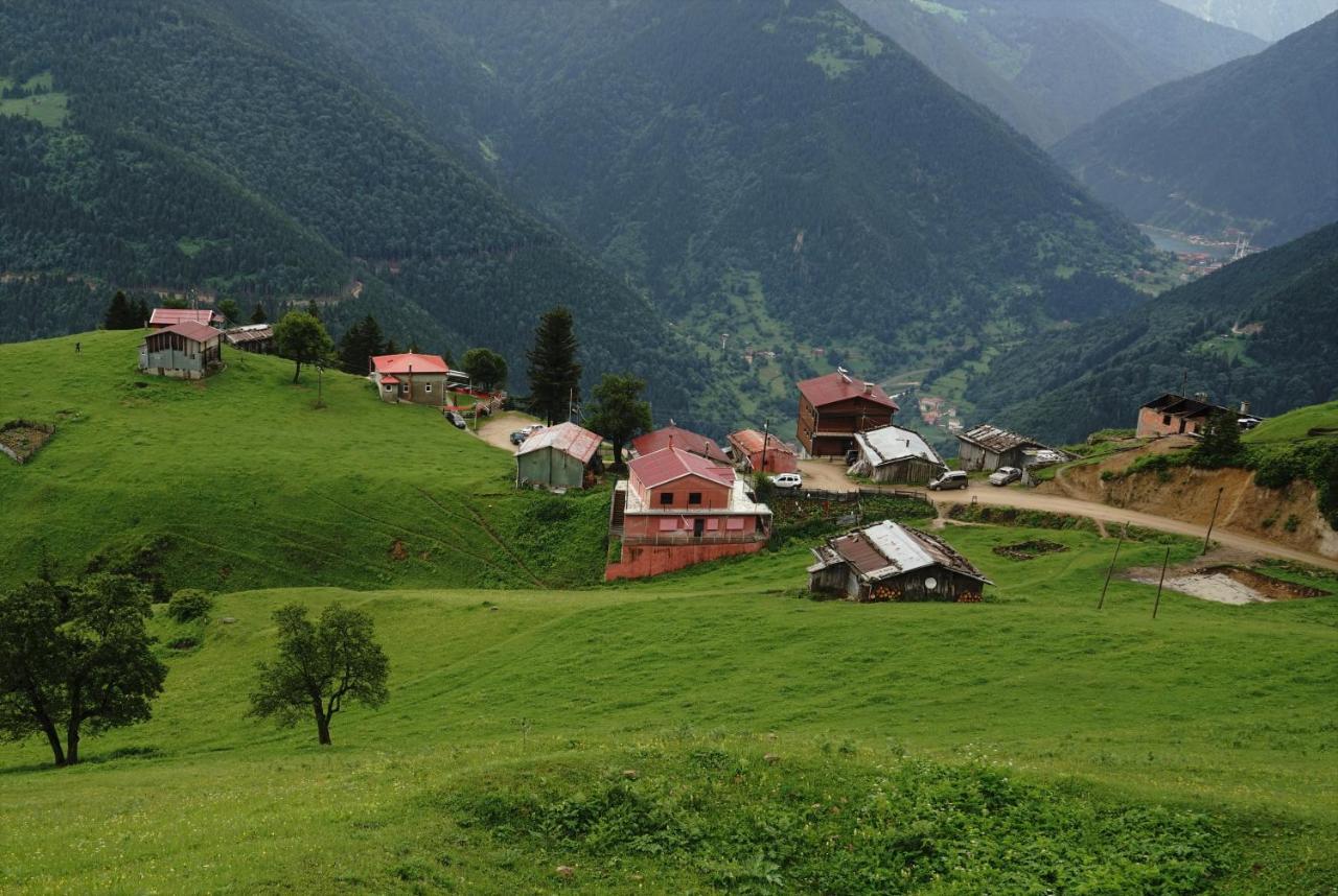 Glisura Apart Uzungol Bagian luar foto