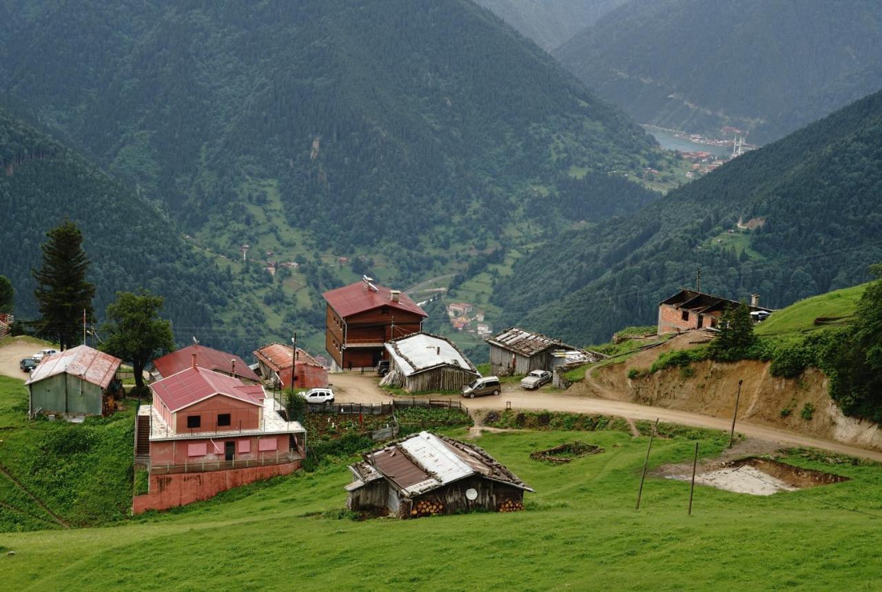 Glisura Apart Uzungol Bagian luar foto