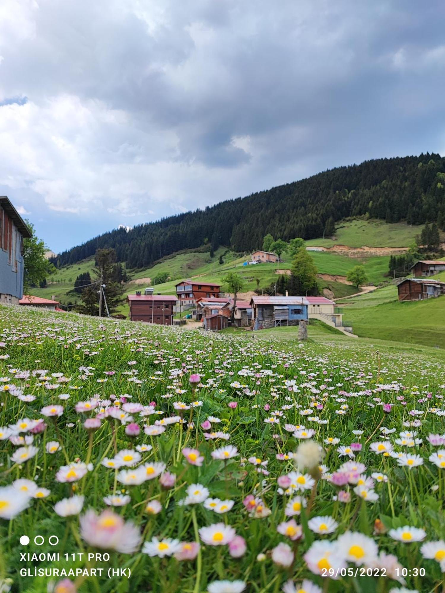 Glisura Apart Uzungol Bagian luar foto
