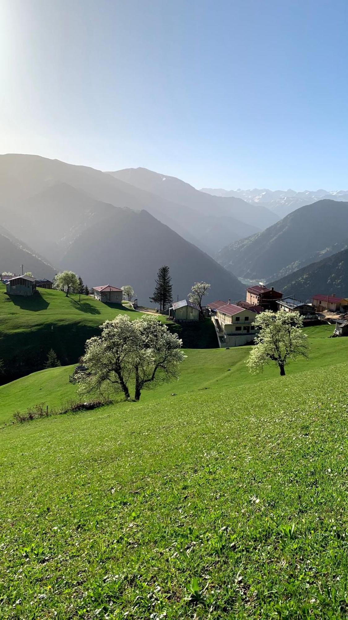 Glisura Apart Uzungol Bagian luar foto
