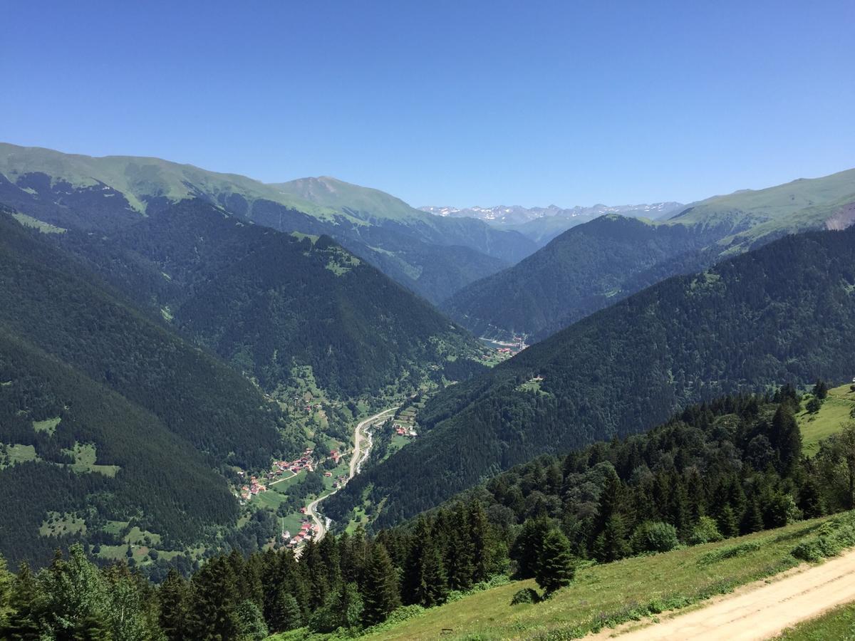 Glisura Apart Uzungol Bagian luar foto