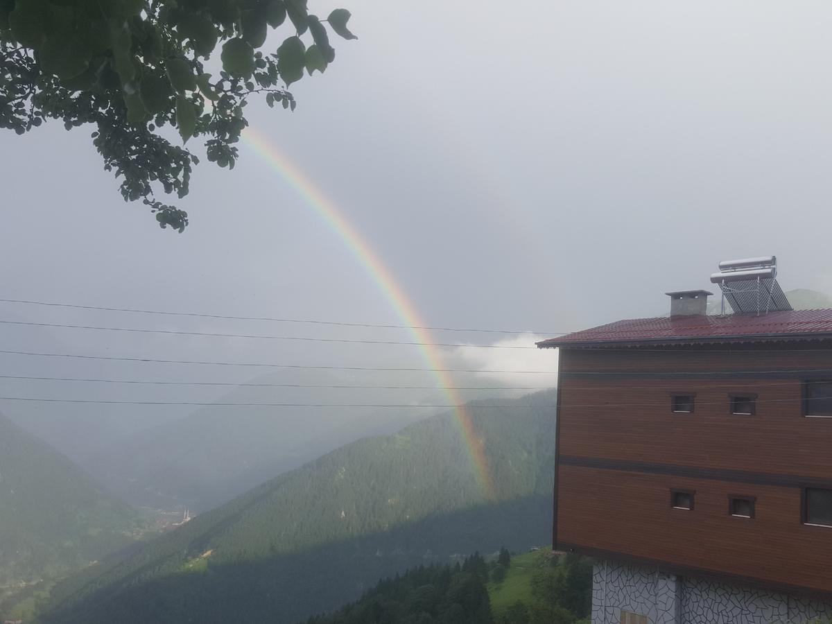 Glisura Apart Uzungol Bagian luar foto