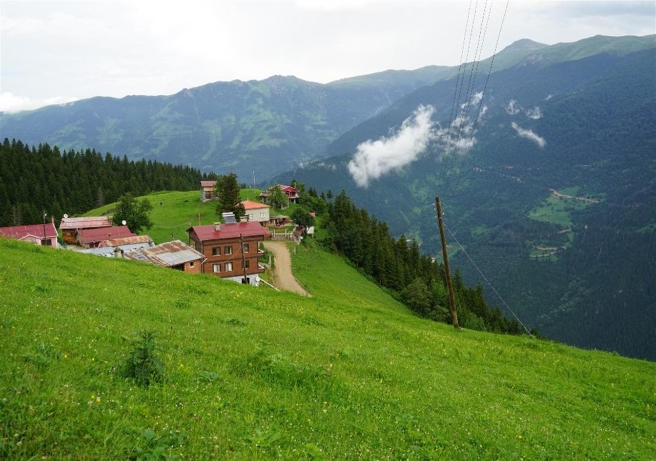 Glisura Apart Uzungol Bagian luar foto