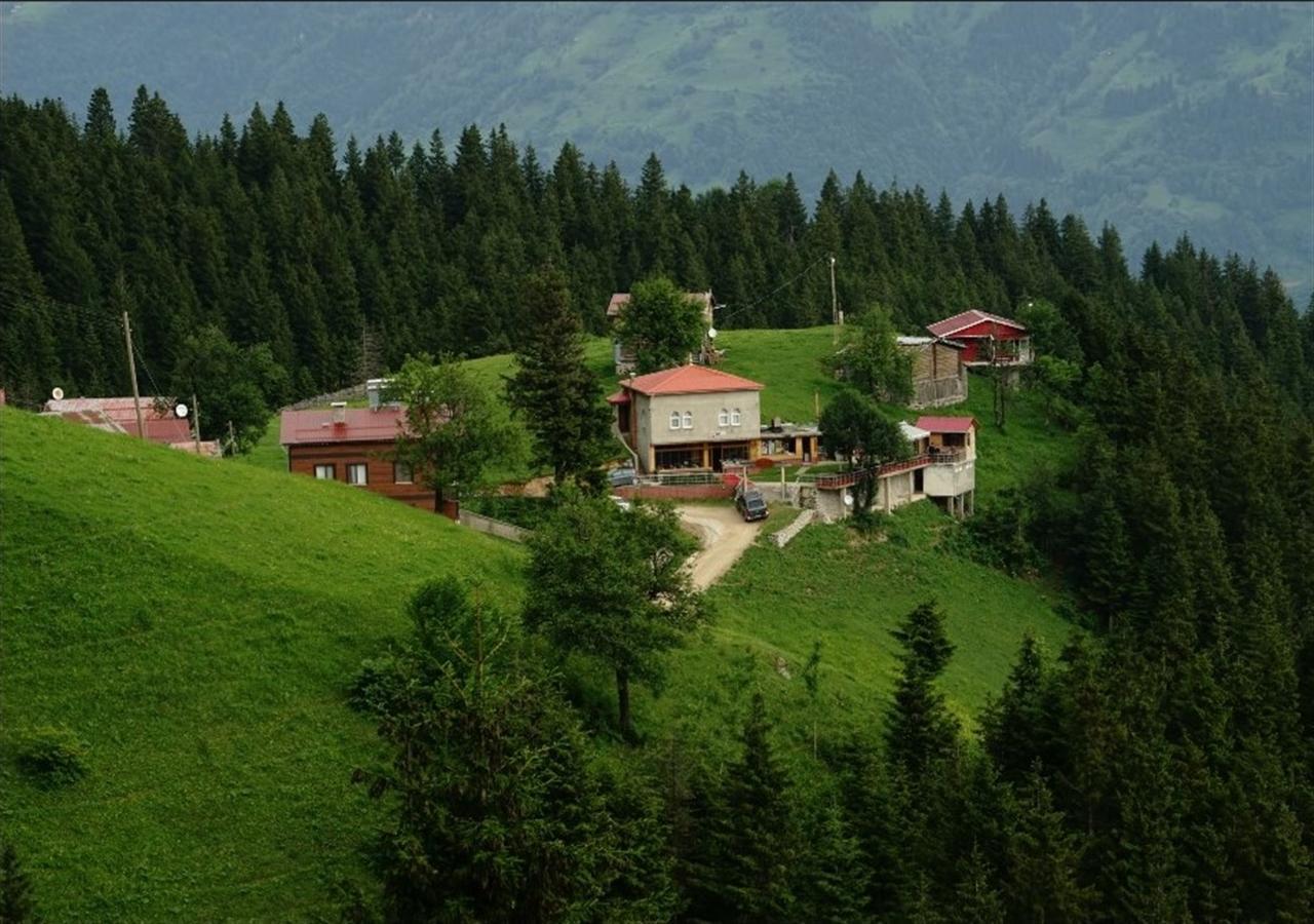 Glisura Apart Uzungol Bagian luar foto