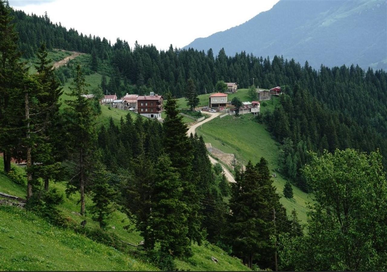 Glisura Apart Uzungol Bagian luar foto